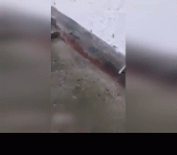 Шикарный узбекча секс зурлаш во все дырки супруги