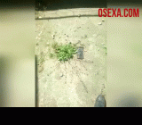 Узбекский запал во время карантина