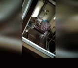 Очень большая подборка роликов с голенькими узбечками из телеги